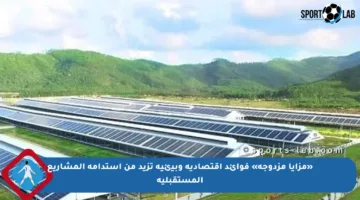 «مزايا مزدوجة» فوائد اقتصادية وبيئية تزيد من استدامة المشاريع المستقبلية